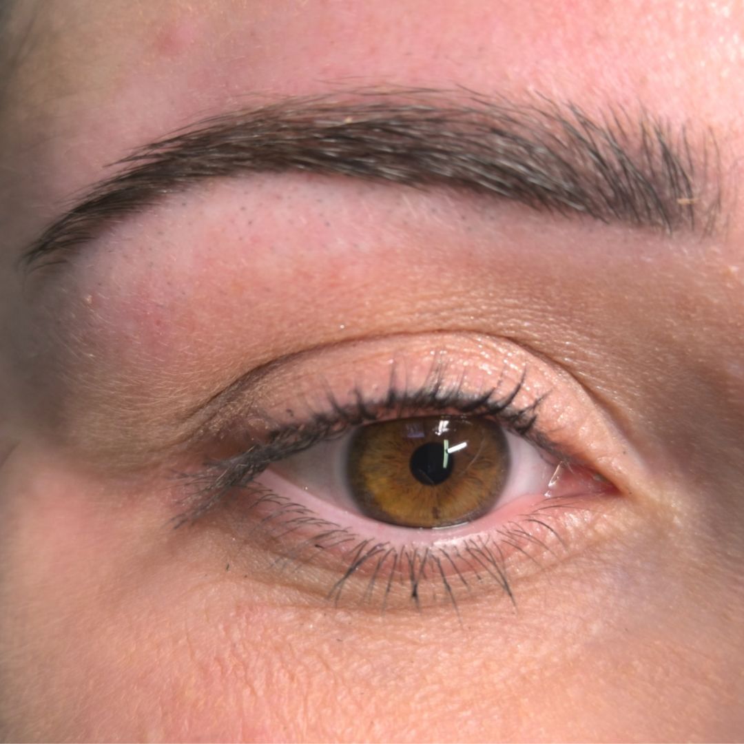Shading sourcils (1ère séance) image